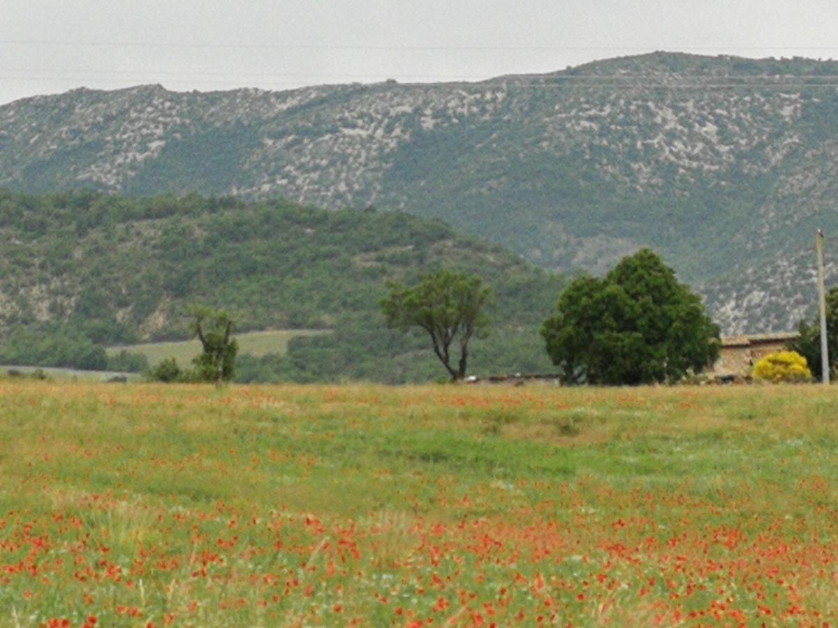Mas En Baronnies Provencales Hotel Eygaliers  Exterior photo